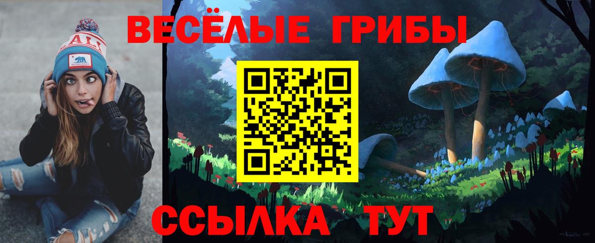 Галлюциногенные грибы Cubensis  Вход с VPN  Губкинский 