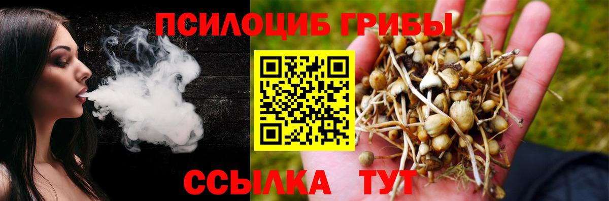 Галлюциногенные грибы Psilocybine cubensis Губкинский