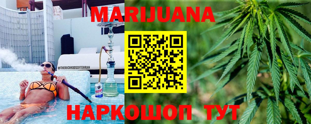 Бошки Шишки сатива Губкинский